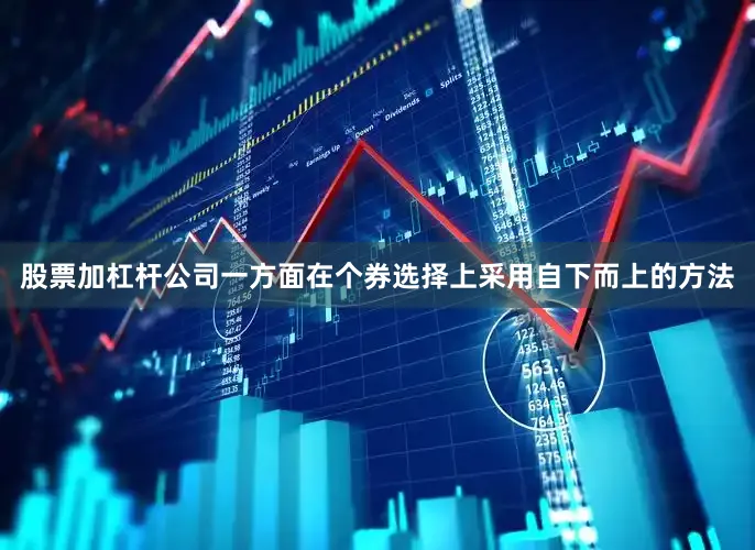股票加杠杆公司一方面在个券选择上采用自下而上的方法